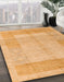 Machine Washable Abstract Orange Rug in a Family Room, wshabs5044
