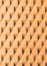 Machine Washable Solid Orange Modern Area Rugs, wshabs5069org
