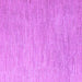 Square Solid Purple Modern Rug, abs5079pur