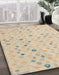 Abstract Deep Peach Orange Modern Rug in Family Room, abs5080