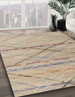 Machine Washable Abstract Dark Almond Brown Rug in a Family Room, wshabs5082