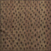 Square Machine Washable Abstract Brown Modern Rug, wshabs5083brn