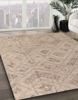 Machine Washable Abstract Dark Almond Brown Rug in a Family Room, wshabs5101