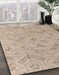 Machine Washable Abstract Dark Almond Brown Rug in a Family Room, wshabs5101