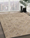 Abstract Dark Almond Brown Modern Rug in Family Room, abs5107