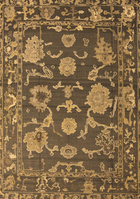 Oriental Brown Traditional Rug, abs5111brn