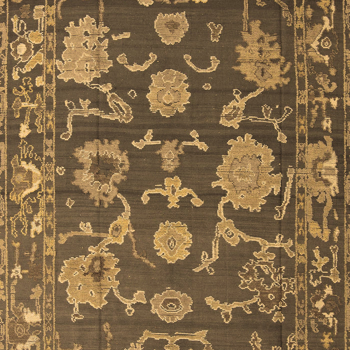 Oriental Brown Traditional Rug, abs5111brn