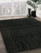 Abstract Black Modern Rug in Family Room, abs5113