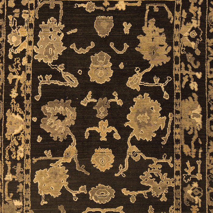 Oriental Brown Traditional Rug, abs5117brn