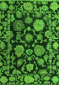 Oriental Green Traditional Rug, abs5118grn