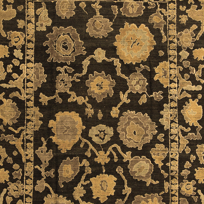 Oriental Brown Traditional Rug, abs5118brn