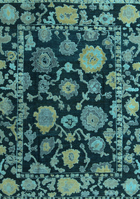 Oriental Light Blue Traditional Rug, abs5118lblu