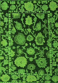 Oriental Green Traditional Rug, abs5121grn