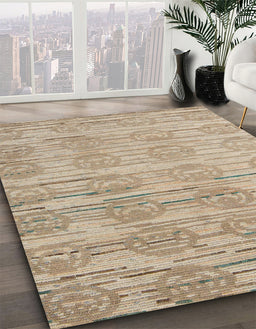 Machine Washable Abstract Dark Almond Brown Rug in a Family Room, wshabs5144