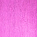 Square Solid Pink Modern Rug, abs5145pnk