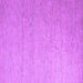 Square Solid Purple Modern Rug, abs5145pur