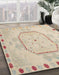 Machine Washable Abstract Brown Sugar Brown Rug in a Family Room, wshabs5147