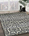 Machine Washable Abstract Pale Silver Gray Rug in a Family Room, wshabs514