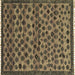 Square Abstract Brown Modern Rug, abs5150brn