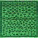 Square Abstract Green Modern Rug, abs5150grn