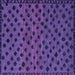 Square Abstract Purple Modern Rug, abs5177pur