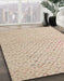 Machine Washable Abstract Brown Sugar Brown Rug in a Family Room, wshabs5182