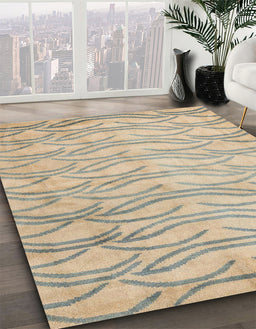 Machine Washable Abstract Brown Rug in a Family Room, wshabs5196