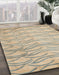 Machine Washable Abstract Brown Rug in a Family Room, wshabs5196