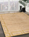 Machine Washable Abstract Bronze Brown Rug in a Family Room, wshabs5199