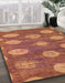 Machine Washable Abstract Red Rug in a Family Room, wshabs5224