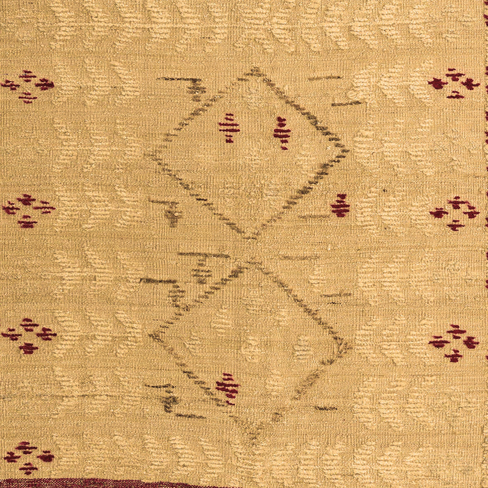 Solid Brown Modern Rug, abs5236brn