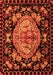 Medallion Orange French Rug, abs5243org