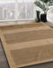 Machine Washable Abstract Light Brown Rug in a Family Room, wshabs5260