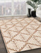 Machine Washable Abstract Brown Sugar Brown Rug in a Family Room, wshabs5274