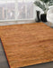 Machine Washable Abstract Orange Rug in a Family Room, wshabs5279