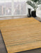 Abstract Sedona Brown Modern Rug in Family Room, abs5292