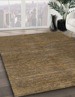 Machine Washable Abstract Sepia Brown Rug in a Family Room, wshabs5302