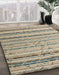 Machine Washable Abstract Khaki Green Rug in a Family Room, wshabs5345