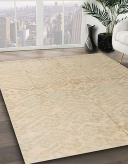 Machine Washable Abstract Brown Sugar Brown Rug in a Family Room, wshabs5359