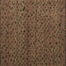 Square Machine Washable Abstract Brown Modern Rug, wshabs5361brn