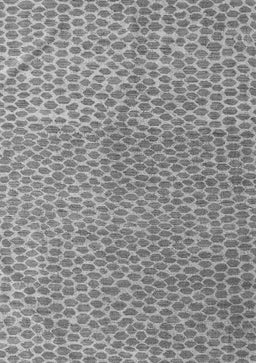 Abstract Gray Modern Rug, abs5387gry