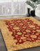 Machine Washable Abstract Orange Rug in a Family Room, wshabs53