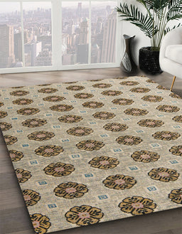 Machine Washable Abstract Brown Rug in a Family Room, wshabs5410