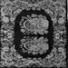 Square Machine Washable Medallion Gray French Rug, wshabs5412gry