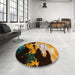 Round Abstract Bakers Brown Modern Rug in a Office, abs5416