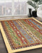 Machine Washable Abstract Red Brown Rug in a Family Room, wshabs541