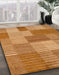 Machine Washable Abstract Sedona Brown Rug in a Family Room, wshabs5453