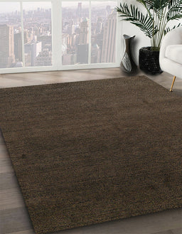 Machine Washable Abstract Black Brown Rug in a Family Room, wshabs5484