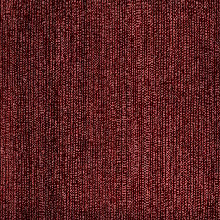 Oriental Red Modern Rug, abs5503red