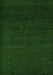 Machine Washable Oriental Green Modern Area Rugs, wshabs5503grn